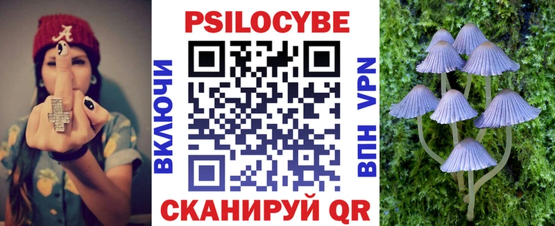 Галлюциногенные грибы Psilocybine cubensis  кракен ССЫЛКА  Киров  наркошоп 