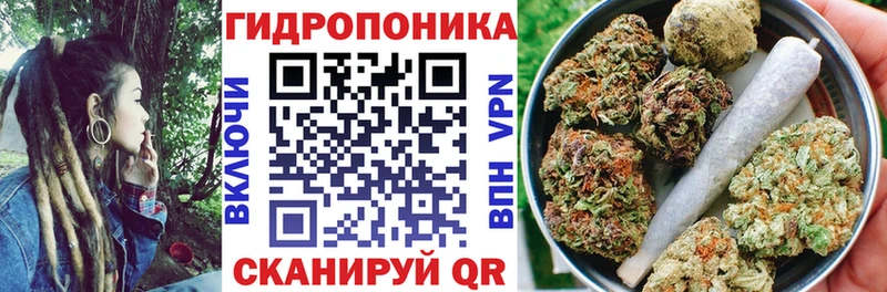 Конопля Bruce Banner  mega ONION  Киров  наркошоп 